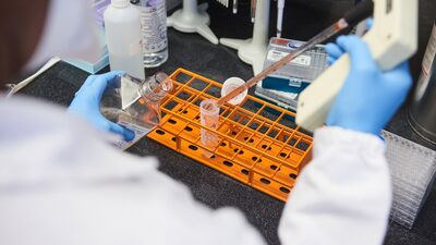 Ômicron: Subvariante BA.2 está perto de ser a dominante na África do Sul Ômicron: Subvariante BA.2 está perto de ser a dominante na África do Sul