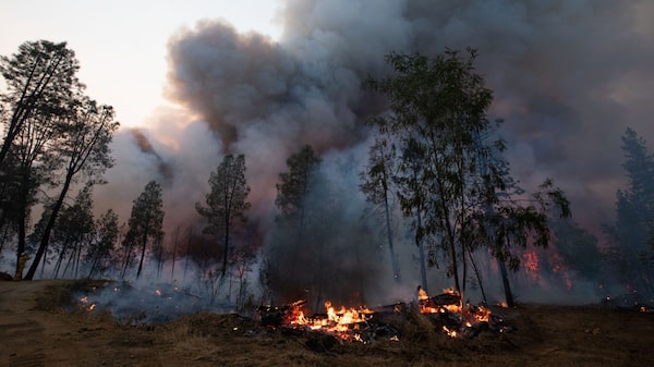 Esto es lo que no sabemos sobre el calentamiento global Esto es lo que no sabemos sobre el calentamiento global