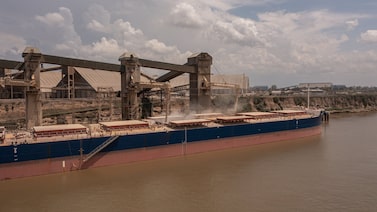 Argentina prepara envio de seu primeiro carregamento de milho para a China em 15 anos Argentina prepara envio de seu primeiro carregamento de milho para a China em 15 anos