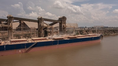 Argentina prepara envio de seu primeiro carregamento de milho para a China em 15 anos Argentina prepara envio de seu primeiro carregamento de milho para a China em 15 anos