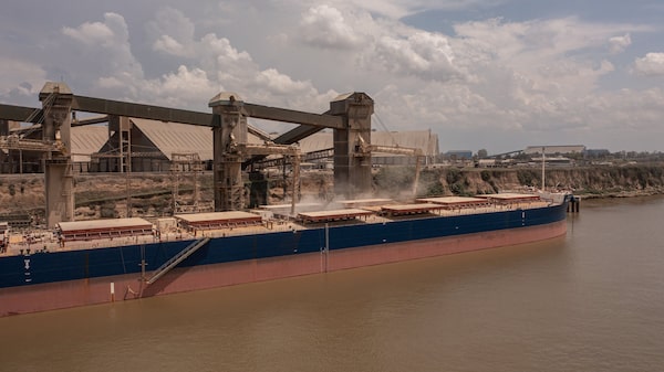 Argentina prepara envio de seu primeiro carregamento de milho para a China em 15 anos Argentina prepara envio de seu primeiro carregamento de milho para a China em 15 anos