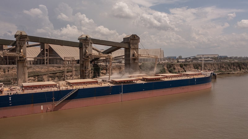 Argentina prepara envio de seu primeiro carregamento de milho para a China em 15 anos Argentina prepara envio de seu primeiro carregamento de milho para a China em 15 anos