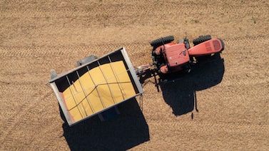 BASF reforça estratégia em bioinsumos com acordo para compra da AgBiTech BASF reforça estratégia em bioinsumos com acordo para compra da AgBiTech