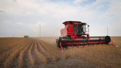 Como o plano ‘verde’ de Biden pode acelerar uma mudança histórica no campo americano Como o plano ‘verde’ de Biden pode acelerar uma mudança histórica no campo americano