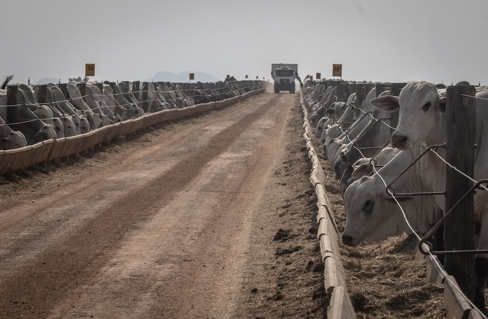 Fotógrafo: Jonne Roriz/Bloomberg. Fotógrafo: Jonne Roriz/Bloomberg.