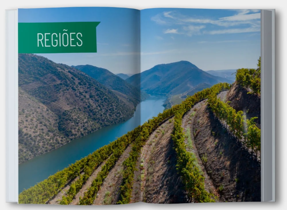 De Alentejo a Açores, Portugal tenta mudar mercado e virar país de regiões de vinho De Alentejo a Açores, Portugal tenta mudar mercado e virar país de regiões de vinho