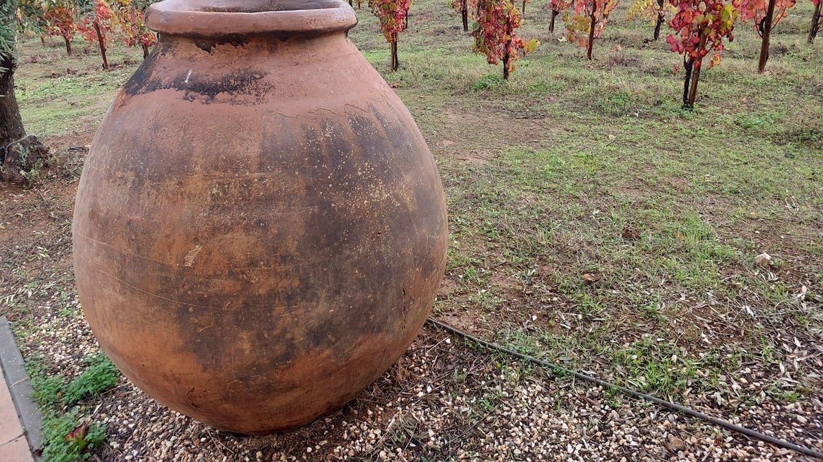 Menos carvalho, mais barro: a estratégia do Alentejo para a produção de vinhos premium