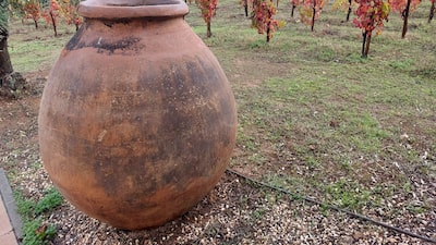 Menos carvalho, mais barro: a estratégia do Alentejo para a produção de vinhos premium Menos carvalho, mais barro: a estratégia do Alentejo para a produção de vinhos premium