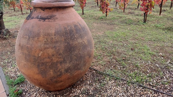 Menos carvalho, mais barro: a estratégia do Alentejo para a produção de vinhos premium Menos carvalho, mais barro: a estratégia do Alentejo para a produção de vinhos premium