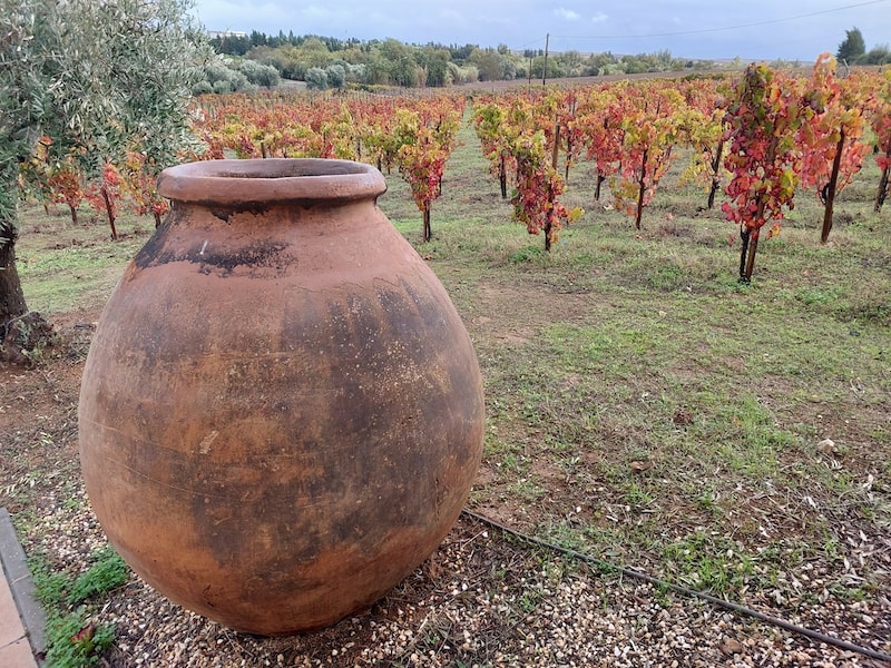 Menos carvalho, mais barro: a estratégia do Alentejo para a produção de vinhos premium Menos carvalho, mais barro: a estratégia do Alentejo para a produção de vinhos premium