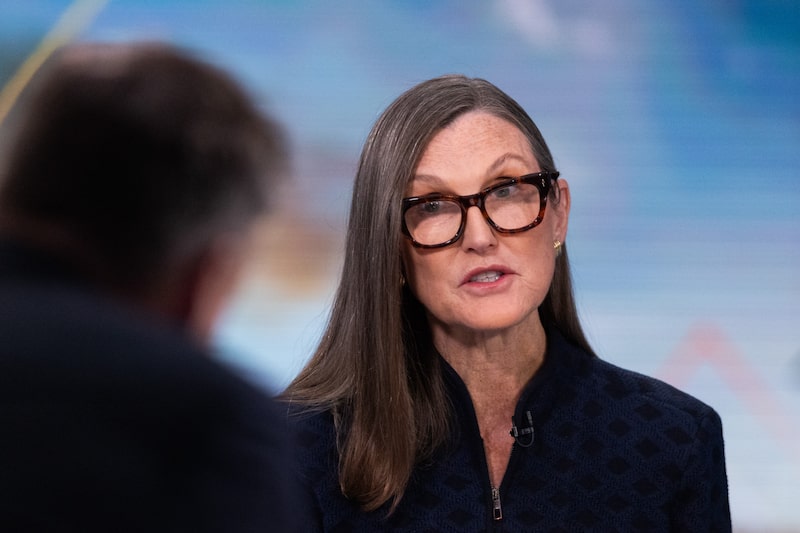 Trump está revitalizando el apetito por el riesgo corporativo, asegura Cathie Wood Trump está revitalizando el apetito por el riesgo corporativo, asegura Cathie Wood