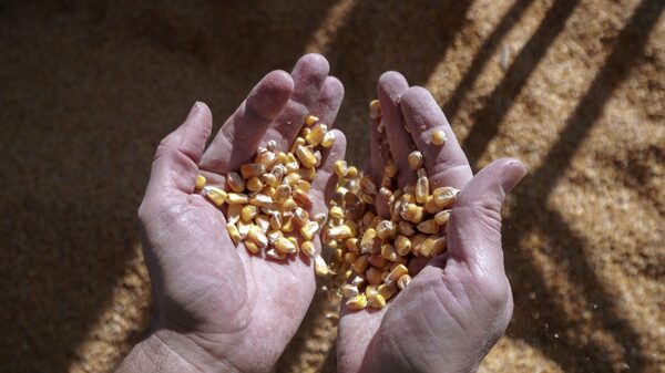 Cargill crece sus ingresos anuales en 23% a un récord de US$165.000 millones Cargill crece sus ingresos anuales en 23% a un récord de US$165.000 millones