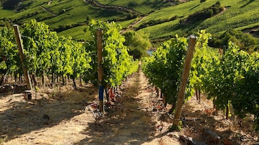 BBC Travel revela los mejores países para viajar en 2026: hay varios de Latam y el Caribe BBC Travel revela los mejores países para viajar en 2026: hay varios de Latam y el Caribe