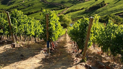 BBC Travel revela los mejores países para viajar en 2026: hay varios de Latam y el Caribe BBC Travel revela los mejores países para viajar en 2026: hay varios de Latam y el Caribe