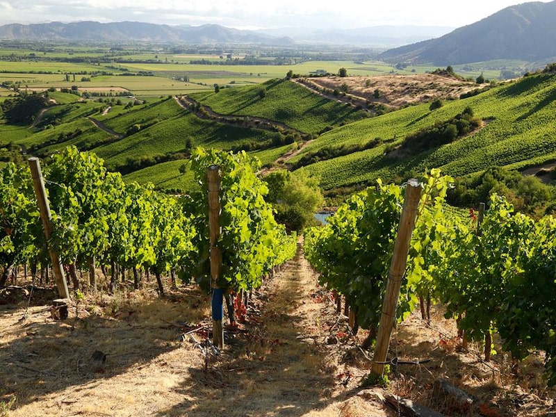 Una panorámica del Valle de Colchagua, en Chile. Una panorámica del Valle de Colchagua, en Chile.
