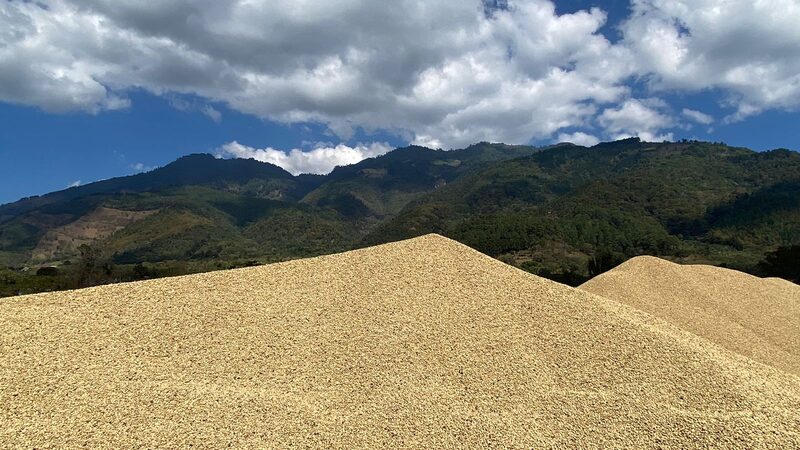 fue la unidad productiva ganadora del programa Cup of Excellence 2022 y participará en la subasta internacional en julio próximo. fue la unidad productiva ganadora del programa Cup of Excellence 2022 y participará en la subasta internacional en julio próximo.