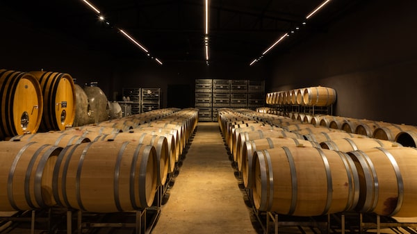 De R$ 20 a R$ 200: Góes aposta em nova marca para crescer no mercado de vinhos premium De R$ 20 a R$ 200: Góes aposta em nova marca para crescer no mercado de vinhos premium