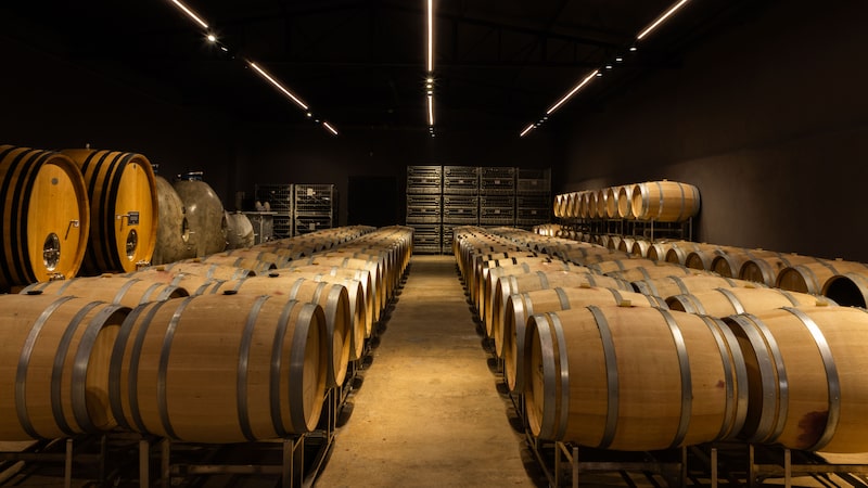 De R$ 20 a R$ 200: Góes aposta em nova marca para crescer no mercado de vinhos premium De R$ 20 a R$ 200: Góes aposta em nova marca para crescer no mercado de vinhos premium