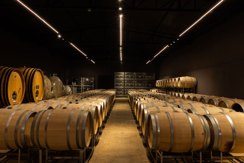 De R$ 20 a R$ 200: famosa por vinhos de mesa, Góes cria nova marca para fugir do preconceito no mercado premium De R$ 20 a R$ 200: famosa por vinhos de mesa, Góes cria nova marca para fugir do preconceito no mercado premium