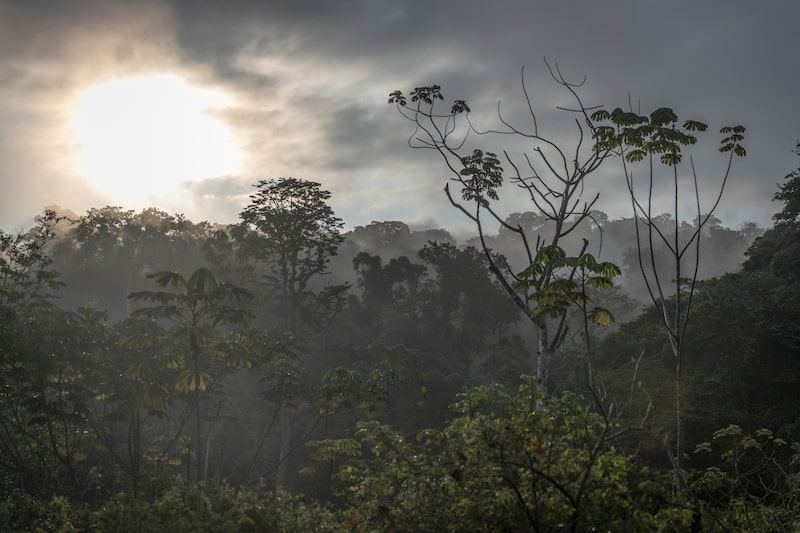 Los discursos de este año se centraron más en geopolítica, tecnología e inteligencia artificial. Los discursos de este año se centraron más en geopolítica, tecnología e inteligencia artificial.