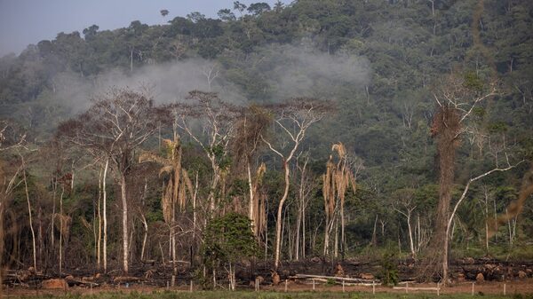 Brazil’s Lula Says Amazon Countries Need More Power in Climate Debate Brazil’s Lula Says Amazon Countries Need More Power in Climate Debate