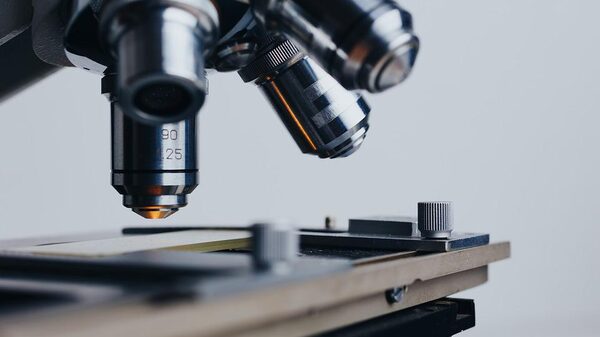 Las directrices para la detección temprana del cáncer de mama deben evolucionar con la ciencia Las directrices para la detección temprana del cáncer de mama deben evolucionar con la ciencia