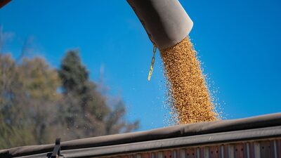 Bessent dice que China cumplirá su promesa de comprar soja de EE.UU. hasta febrero Bessent dice que China cumplirá su promesa de comprar soja de EE.UU. hasta febrero