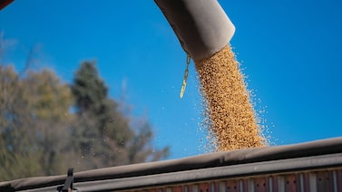 Bessent dice que China cumplirá su promesa de comprar soja de EE.UU. hasta febrero Bessent dice que China cumplirá su promesa de comprar soja de EE.UU. hasta febrero