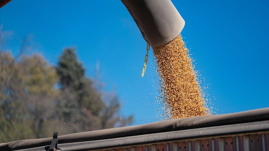 Bessent dice que China cumplirá su promesa de comprar soja de EE.UU. hasta febrero Bessent dice que China cumplirá su promesa de comprar soja de EE.UU. hasta febrero