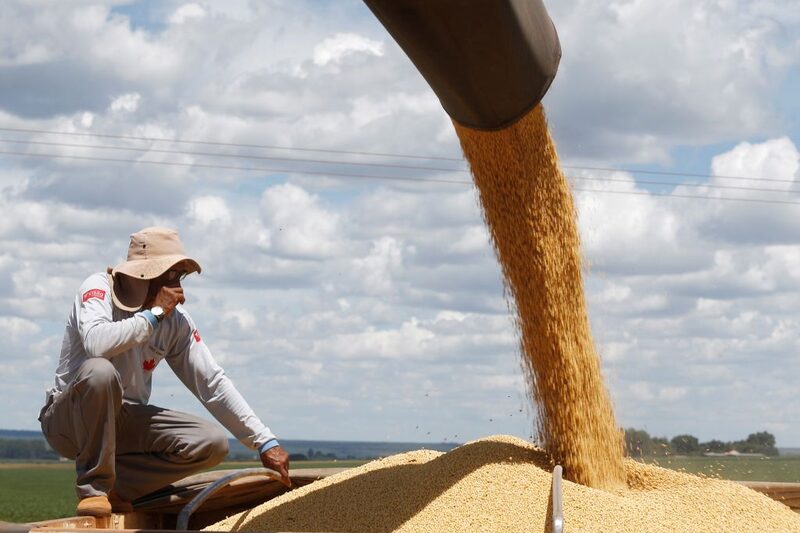 Un agricultor observa la cosecha de soja en la granja Nativa, cerca de Brasilia, Brasil, 11 de febrero de 2023. Un agricultor observa la cosecha de soja en la granja Nativa, cerca de Brasilia, Brasil, 11 de febrero de 2023.