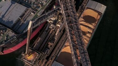 China suspende parte das importações de soja do Brasil por contaminação, dizem fontes China suspende parte das importações de soja do Brasil por contaminação, dizem fontes