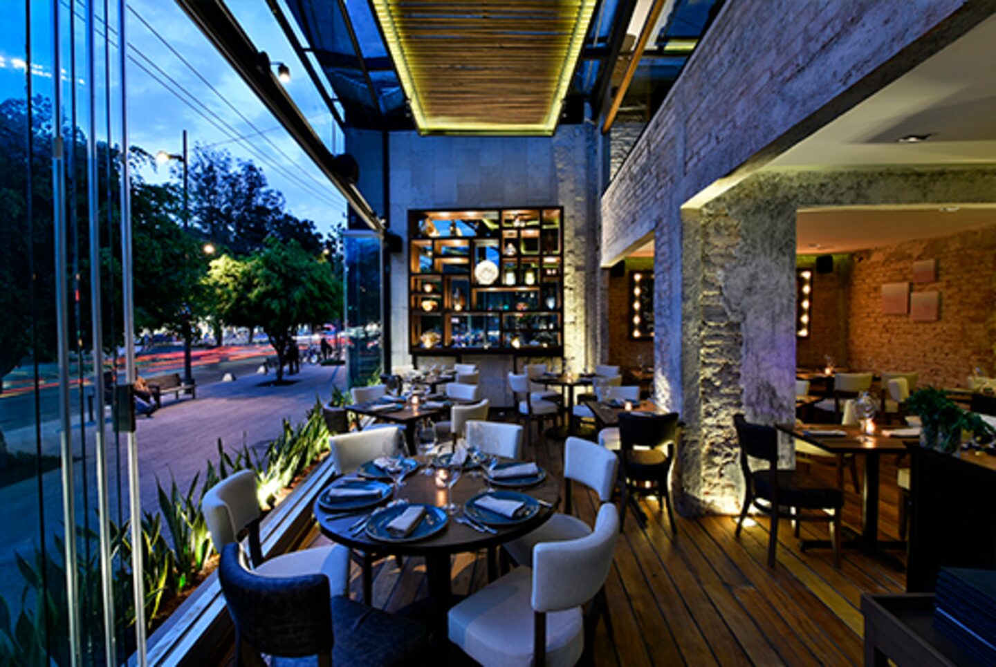 Rosa Negra. Rosa Negra.