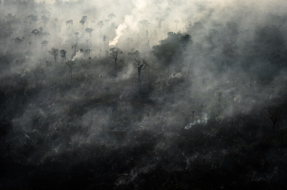 El humo se eleva mientras arde un incendio en la selva amazónica en esta fotografía aérea tomada sobre la región de Candeias do Jamari, en Porto Velho, estado de Rondônia (Brasil), el sábado 24 de agosto de 2019. El humo se eleva mientras arde un incendio en la selva amazónica en esta fotografía aérea tomada sobre la región de Candeias do Jamari, en Porto Velho, estado de Rondônia (Brasil), el sábado 24 de agosto de 2019.