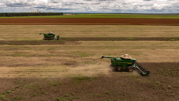 China e Brasil flexibilizam exigências sanitárias e aliviam comércio bilateral de soja China e Brasil flexibilizam exigências sanitárias e aliviam comércio bilateral de soja