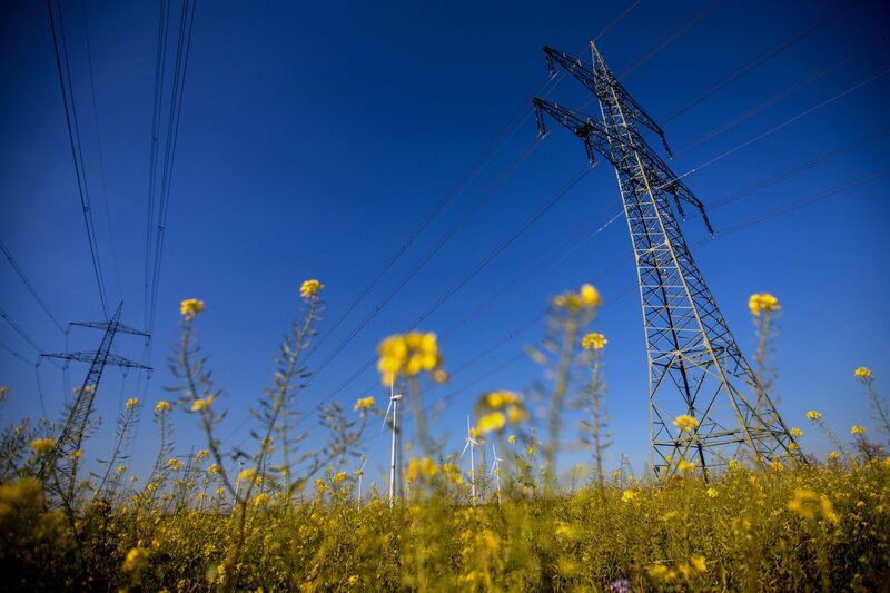 Preços devem continuar subindo nos próximos meses Preços devem continuar subindo nos próximos meses