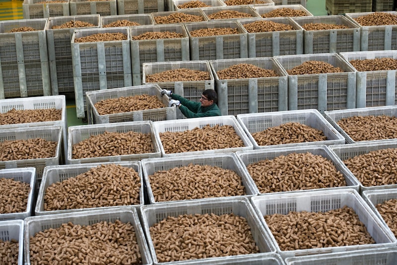 Estoques de rolhas da fabricante Corticeira Amorim em Portugal Estoques de rolhas da fabricante Corticeira Amorim em Portugal