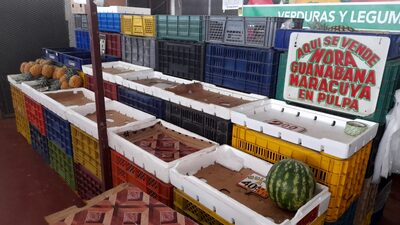 Panamá en su peor escasez de alimentos por las protestas antiminería, dicen vendedores Panamá en su peor escasez de alimentos por las protestas antiminería, dicen vendedores