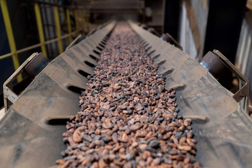 Cocoa beans move along a conveyor. Photographer: Andrew Caballero-Reynolds/Bloomberg Cocoa beans move along a conveyor. Photographer: Andrew Caballero-Reynolds/Bloomberg