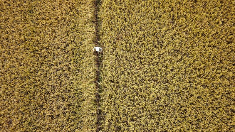 Especialistas dizem que produção excedente é necessária para reduzir a volatilidade global dos preços Especialistas dizem que produção excedente é necessária para reduzir a volatilidade global dos preços