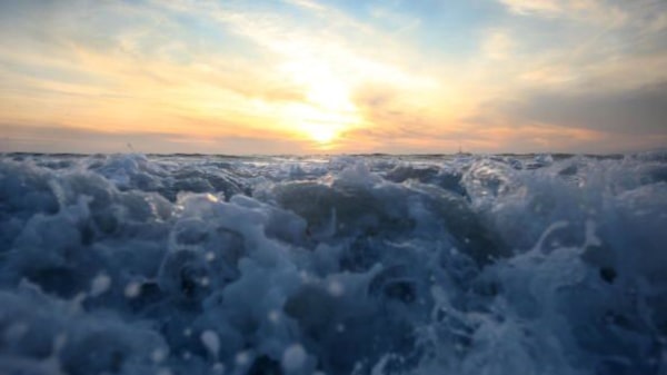 Para salvar el clima de la Tierra hay que mapear los océanos Para salvar el clima de la Tierra hay que mapear los océanos