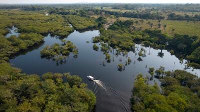 Resultado das eleições evita guinada da agenda ambiental e do desmatamento no Brasil Resultado das eleições evita guinada da agenda ambiental e do desmatamento no Brasil