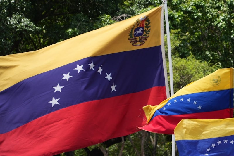 Banderas de Venezuela en la Peregrinación Nacional, el 30 de abril en Caracas. Banderas de Venezuela en la Peregrinación Nacional, el 30 de abril en Caracas.