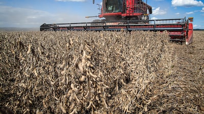 Setor de máquinas agrícolas já vê 1º semestre ‘perdido’ com crédito mais caro Setor de máquinas agrícolas já vê 1º semestre ‘perdido’ com crédito mais caro