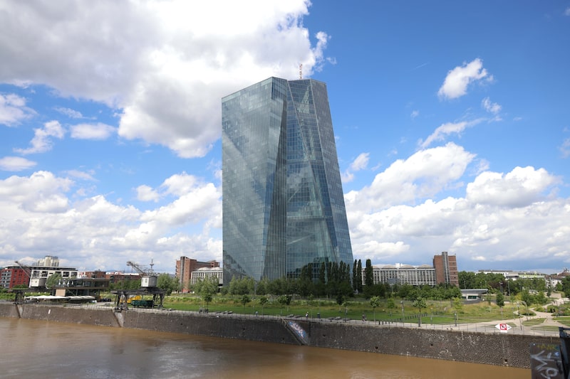 El BCE acelerará los recortes de tasas en un intento de reactivar la economía: encuesta El BCE acelerará los recortes de tasas en un intento de reactivar la economía: encuesta