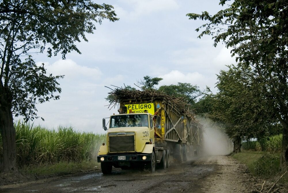 Monómeros suministra al sector agropecuario colombiano más del 45% de los fertilizantes, según medios locales.
Monómeros suministra al sector agropecuario colombiano más del 45% de los fertilizantes, según medios locales.