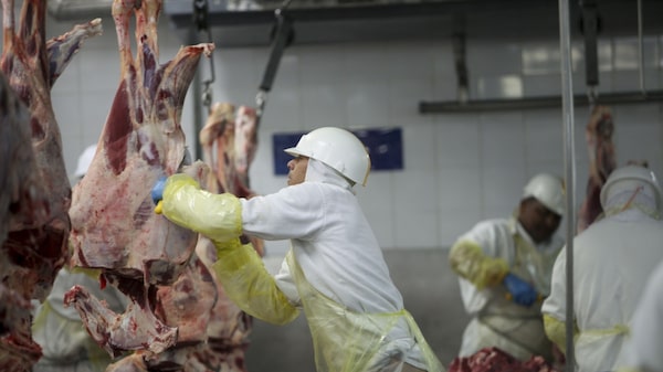 China avalia habilitar de 10 a 15 frigoríficos brasileiros para exportar carnes China avalia habilitar de 10 a 15 frigoríficos brasileiros para exportar carnes