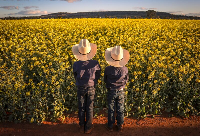 Dos niños miran las plantas que crecen en un campo en una granja cerca de Gunnedah, Nueva Gales del Sur, Australia, el domingo 23 de agosto de 2020. Dos niños miran las plantas que crecen en un campo en una granja cerca de Gunnedah, Nueva Gales del Sur, Australia, el domingo 23 de agosto de 2020.