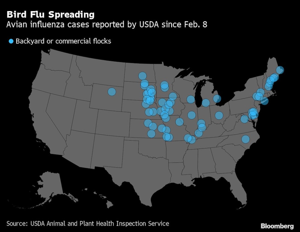 Propagación de la gripe | Casos de influenza aviar reportados por el USDA desde el 8 de febrero
Propagación de la gripe | Casos de influenza aviar reportados por el USDA desde el 8 de febrero