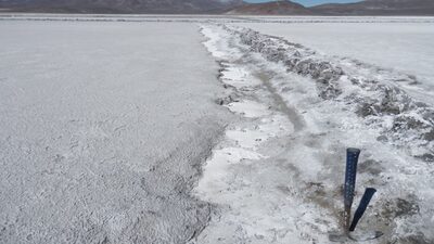 Gobierno argentino negocia con empresas para excluir al litio de la ley de Humedales Gobierno argentino negocia con empresas para excluir al litio de la ley de Humedales