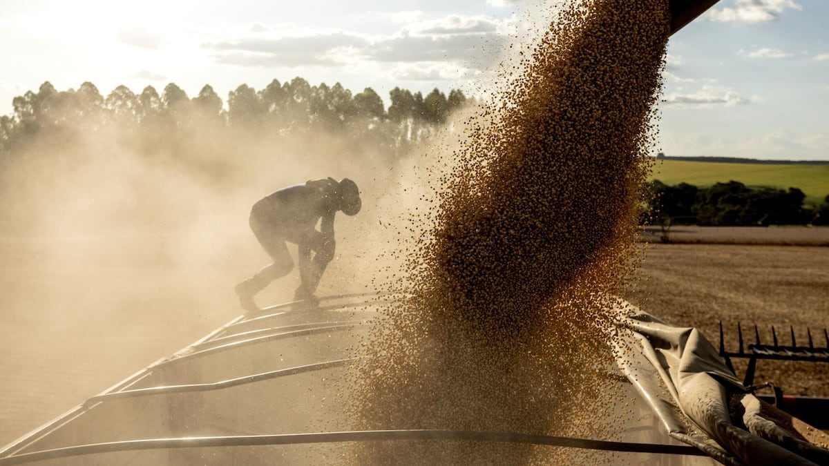 Los países de América Latina que estarán entre los más golpeados por El Niño, según BofA